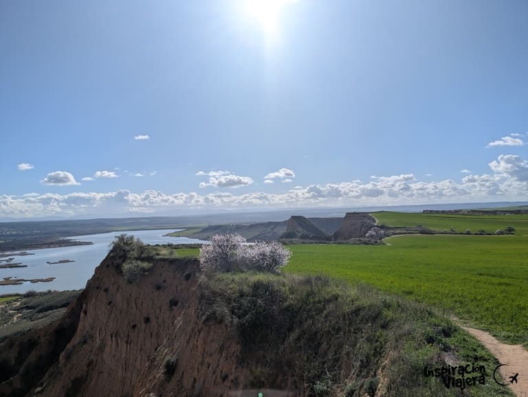 Barrancas de Burujón