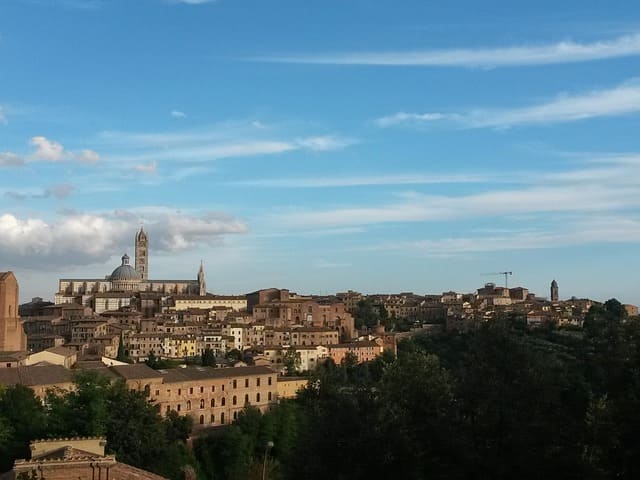 Cosas que ver en Siena gratis