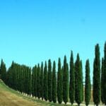 ruta por la Toscana en coche por libre