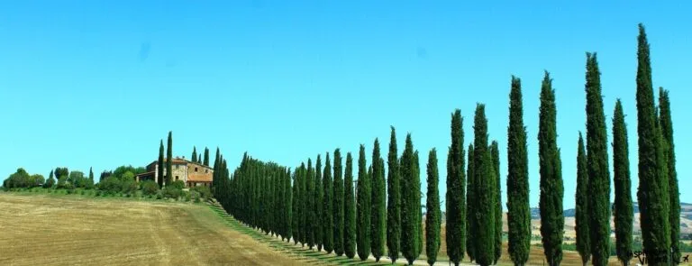 ruta por la Toscana en coche por libre