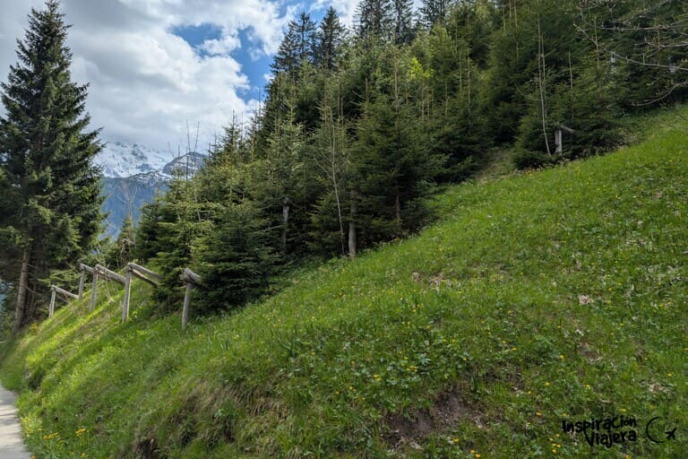 Ogi-Böcke, Curiosidades de Gimmelwald