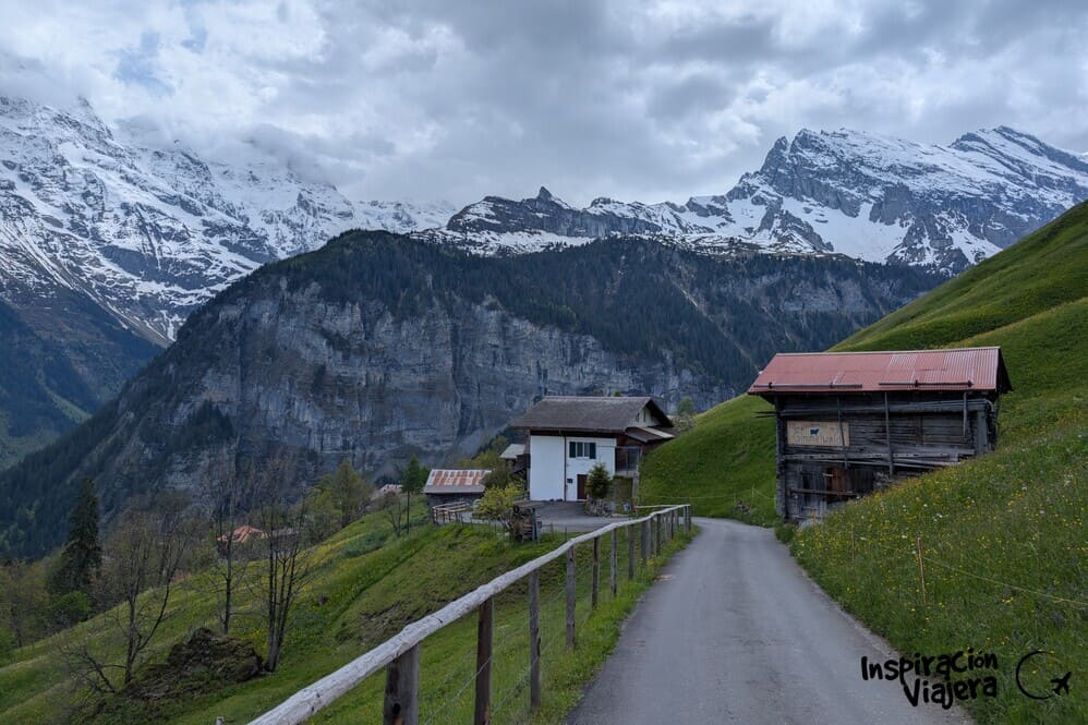 Cómo llegar a Gimmelwald