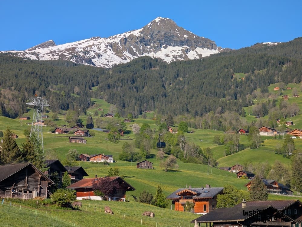Qué hacer en Grindelwald
