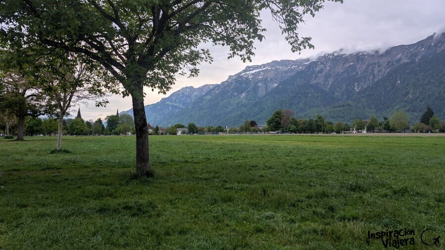 Höhematte Interlaken