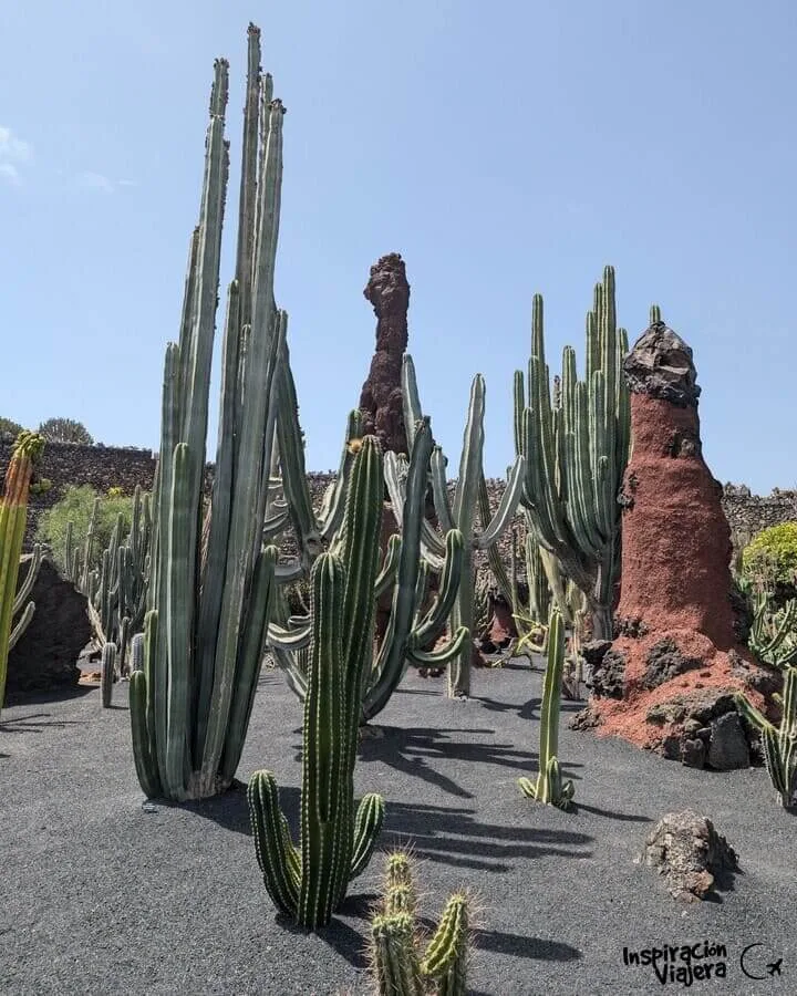 Jardín del Cactus, Lanzarote