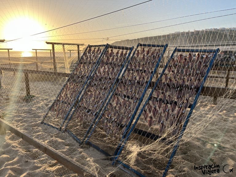 Qué hacer en Nazaré