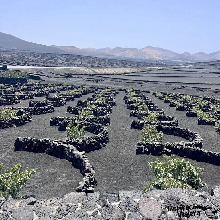Viñedos de La Geria
