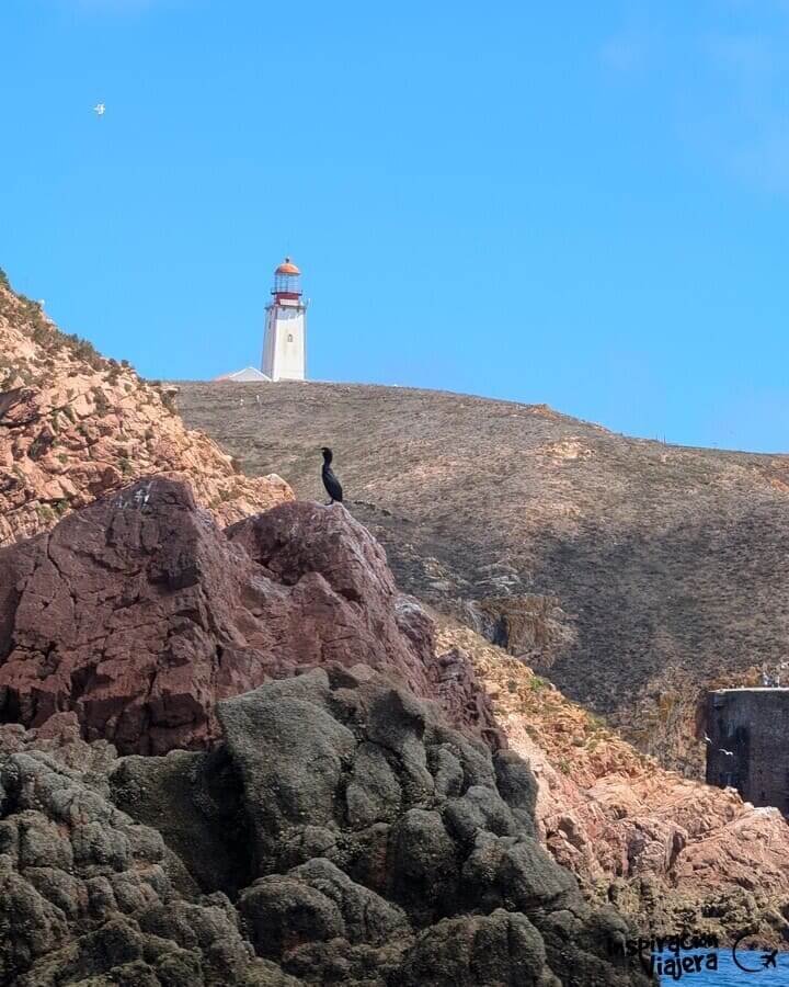 Qué ver en las Islas Berlengas