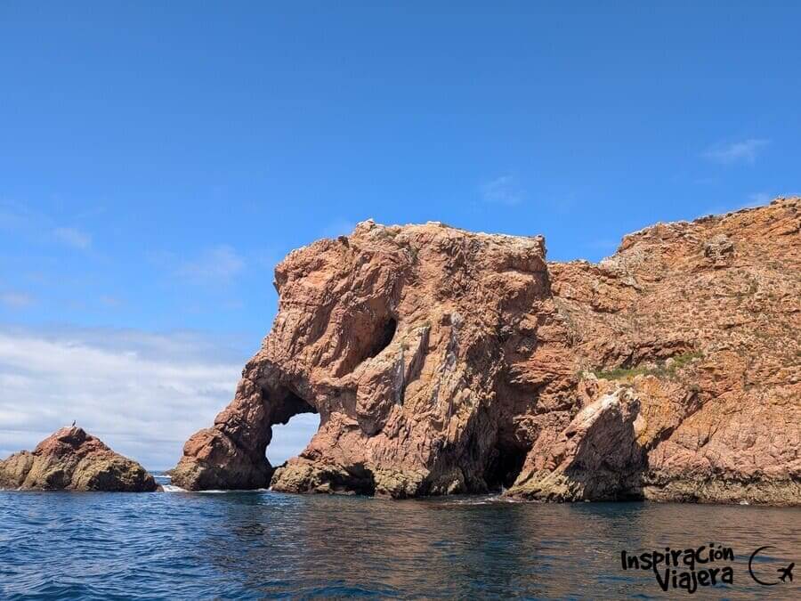 reserva natural de las islas berlengas