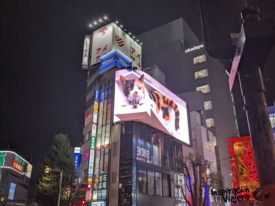 Qué ver en Shinjuku Tokio