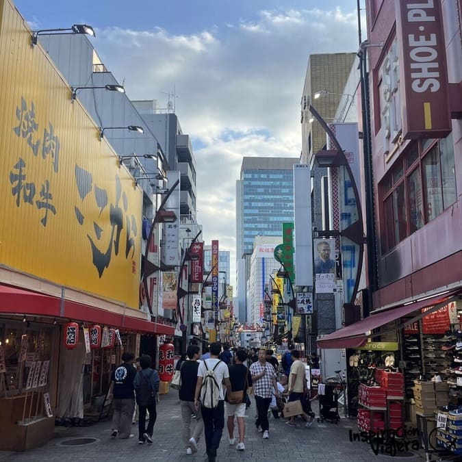 Ueno Ameyoko Shopping Street