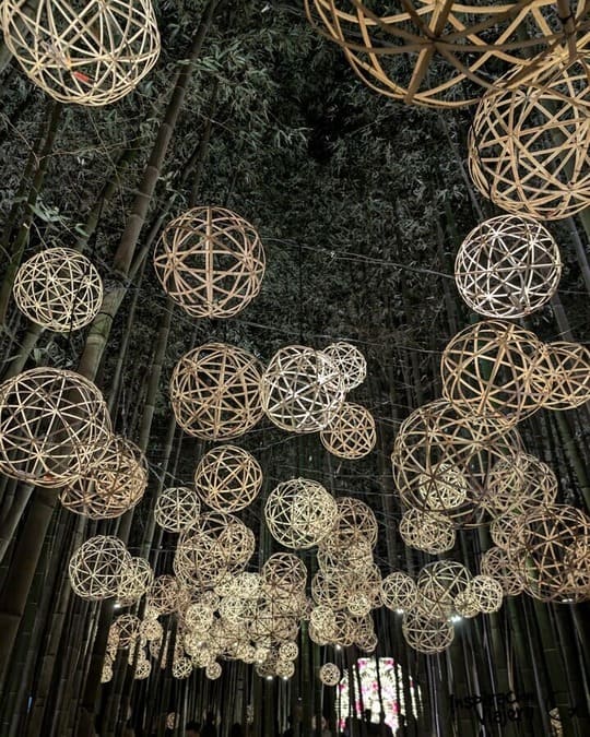 Evento nocturno Arashiyama