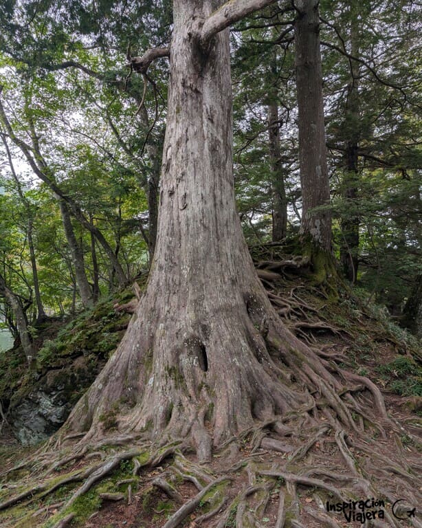 Parque Nacional de Nikko
