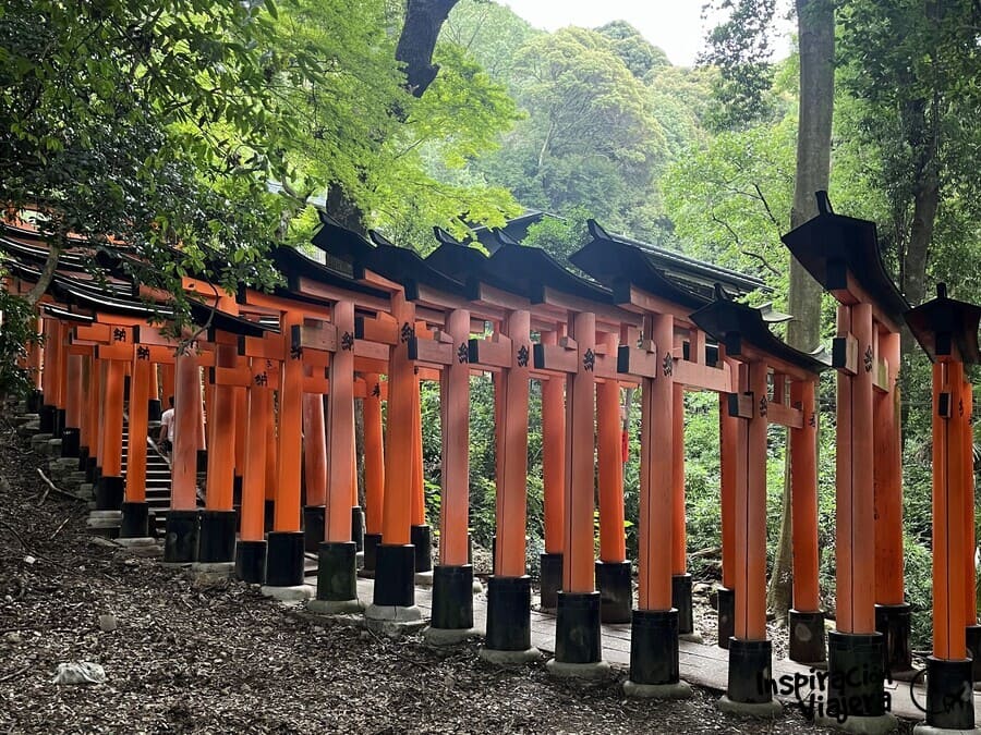 Ruta Fushimi Inari