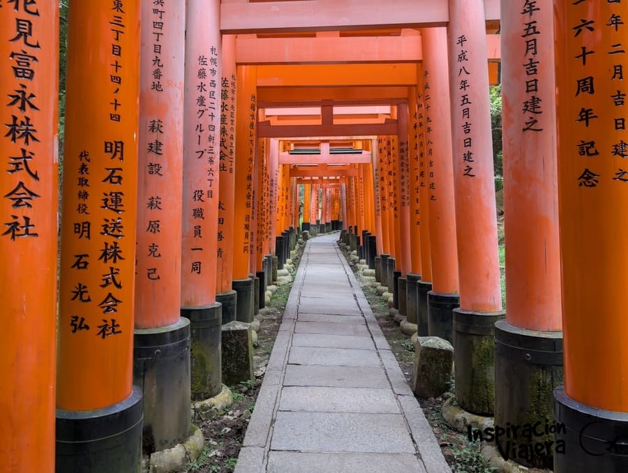 Un pasillo de torii en Fushimi Inari