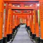 Pasillos de Torii en Fushimi Inari