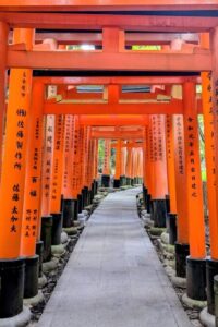 Pasillos de Torii en Fushimi Inari