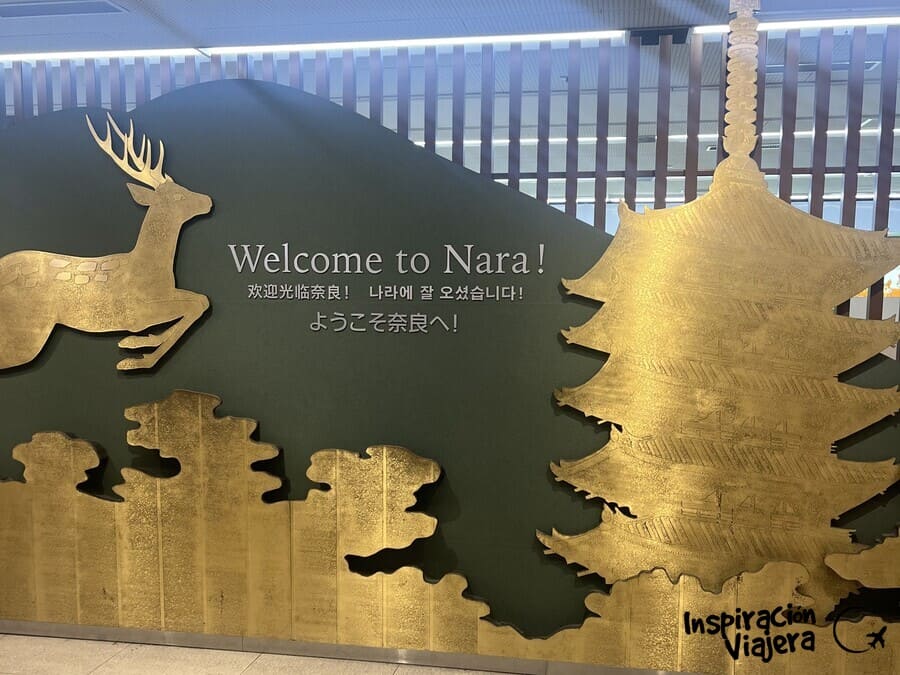 Qué ver en Nara en medio día