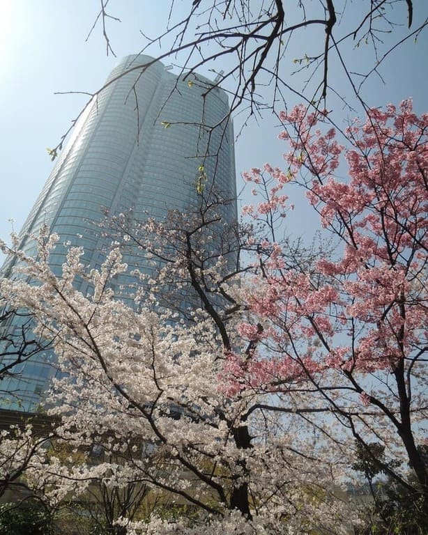 Mejores miradores de Tokio