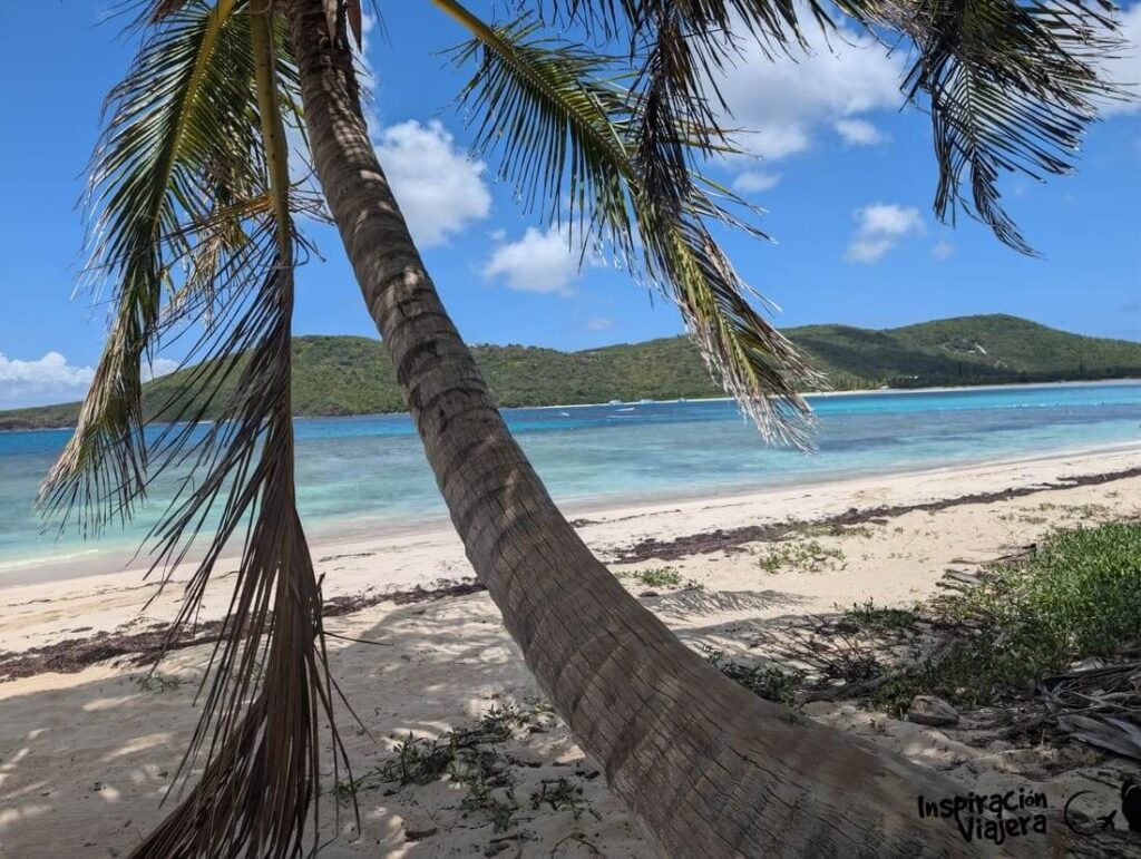 Flaya Flamenco, Culebra