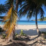 Playa Flamenco