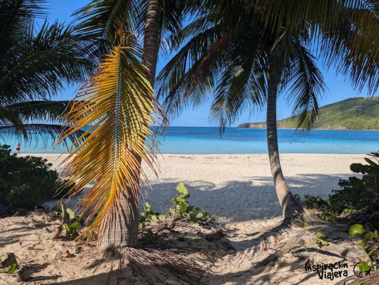 Playa Flamenco