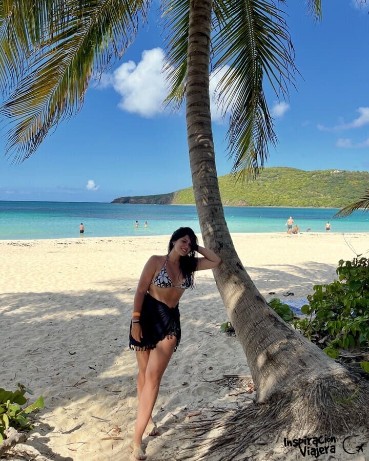 Cómo ir a Isla Culebra