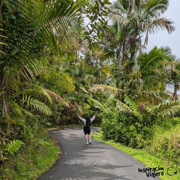 El Yunque Puerto Rico