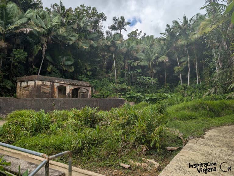 Qué hacer en El Yunque