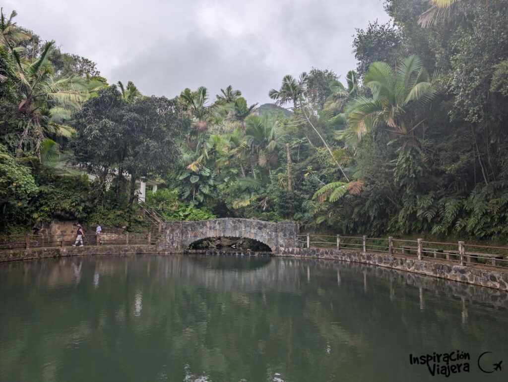 Qué ver en El Yunque