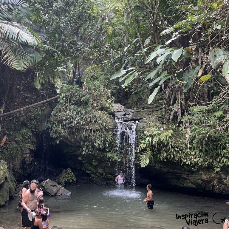 Qué hacer en El Yunque