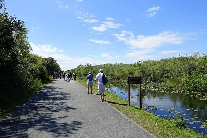 Recorrido por el Parque Nacional Everglades
