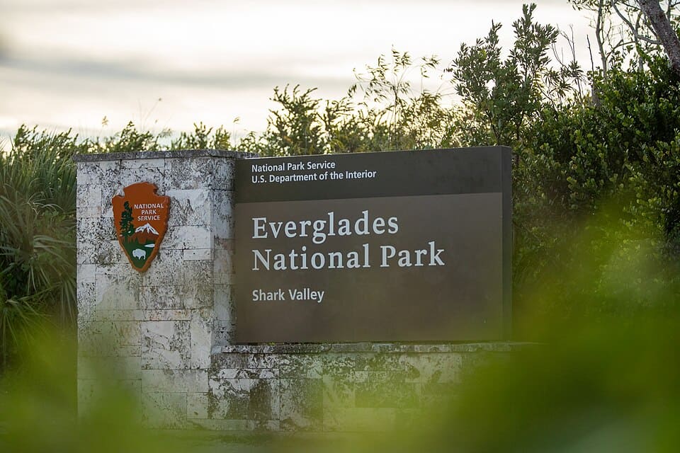 Parque Nacional Everglades