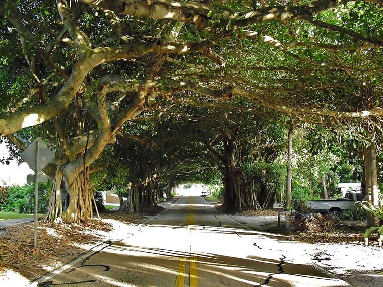 Coral Gables