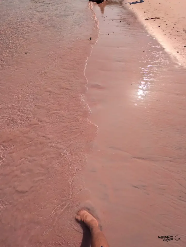 Pink Beach Indonesia